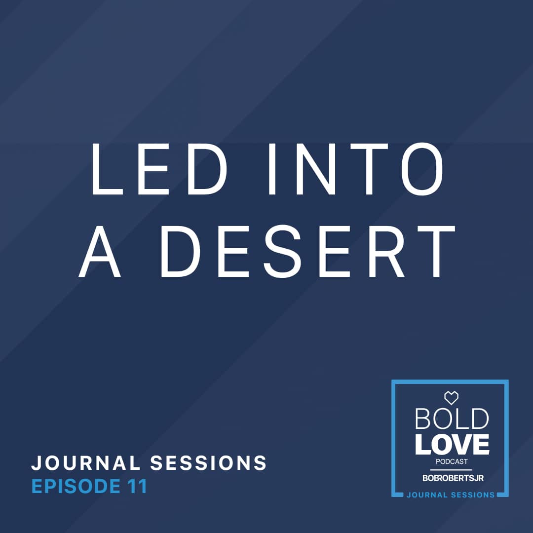 Journal Sessions: Led Into a Desert